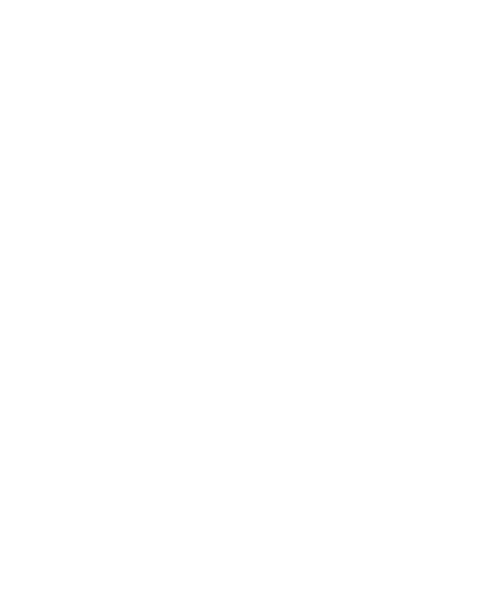 Platinum Logo